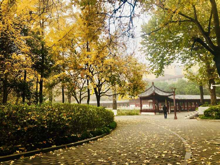 江苏徐州:诗意金秋