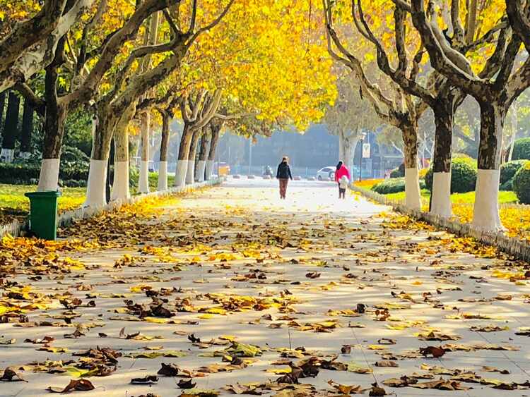 江苏徐州:诗意金秋