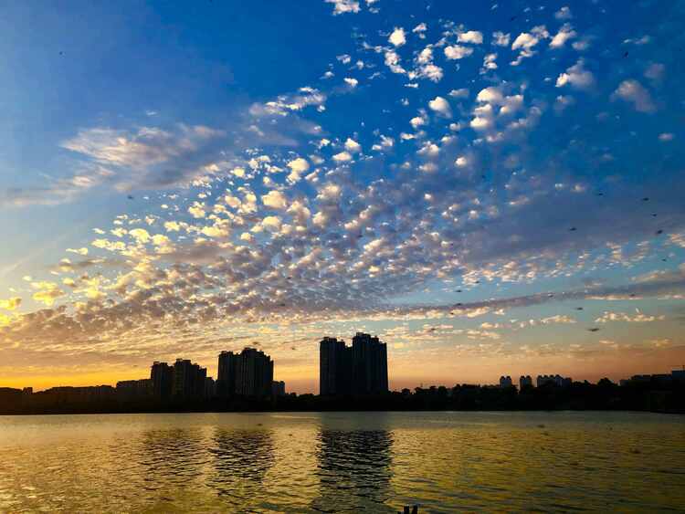 江苏徐州:诗意金秋