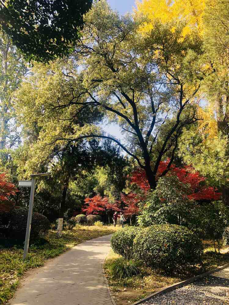 江苏徐州:诗意金秋