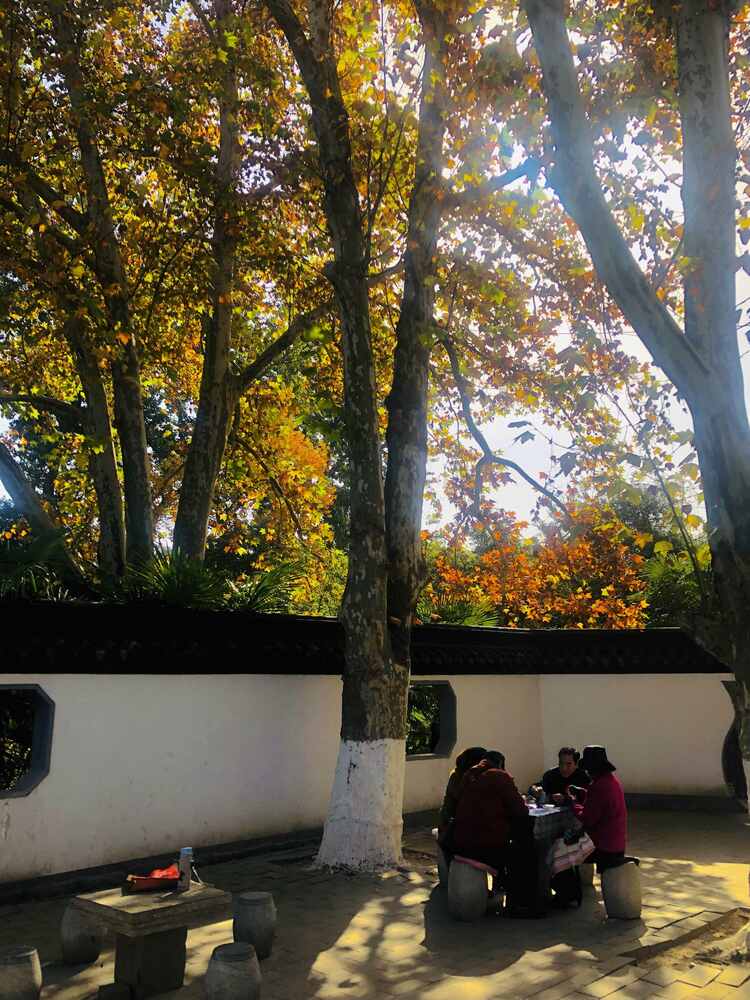 江苏徐州:诗意金秋