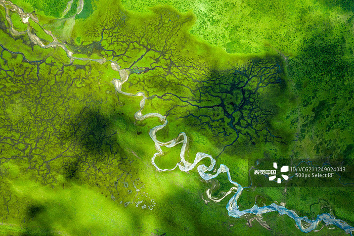 图片默认标题 图片默认标题_fororder_2