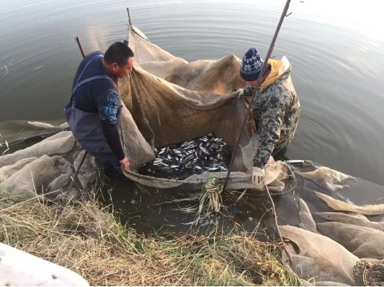 （乡村振兴）奈曼旗：发展现代渔业 推动乡村振兴