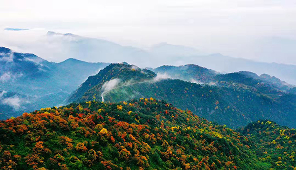 眉山洪雅:瓦屋山的秋天 缤纷的童话世界-国际在线