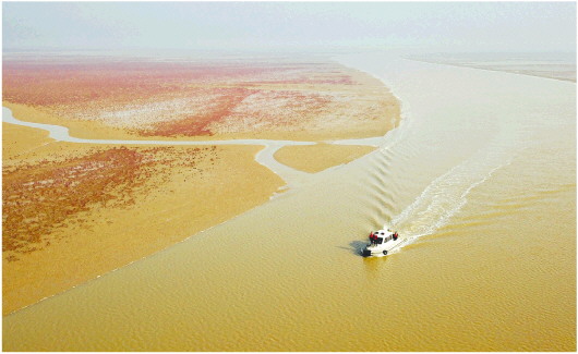 黄河三角洲自然保护区海域开展联合巡航