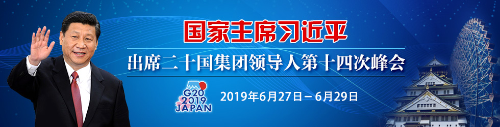 习近平主席出席二十国集团领导人第十四次峰会_fororder_出访980x250