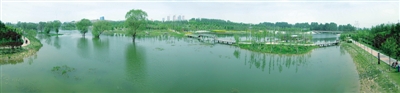 【中原名景-图片】践行生态文明 建设公园郑州