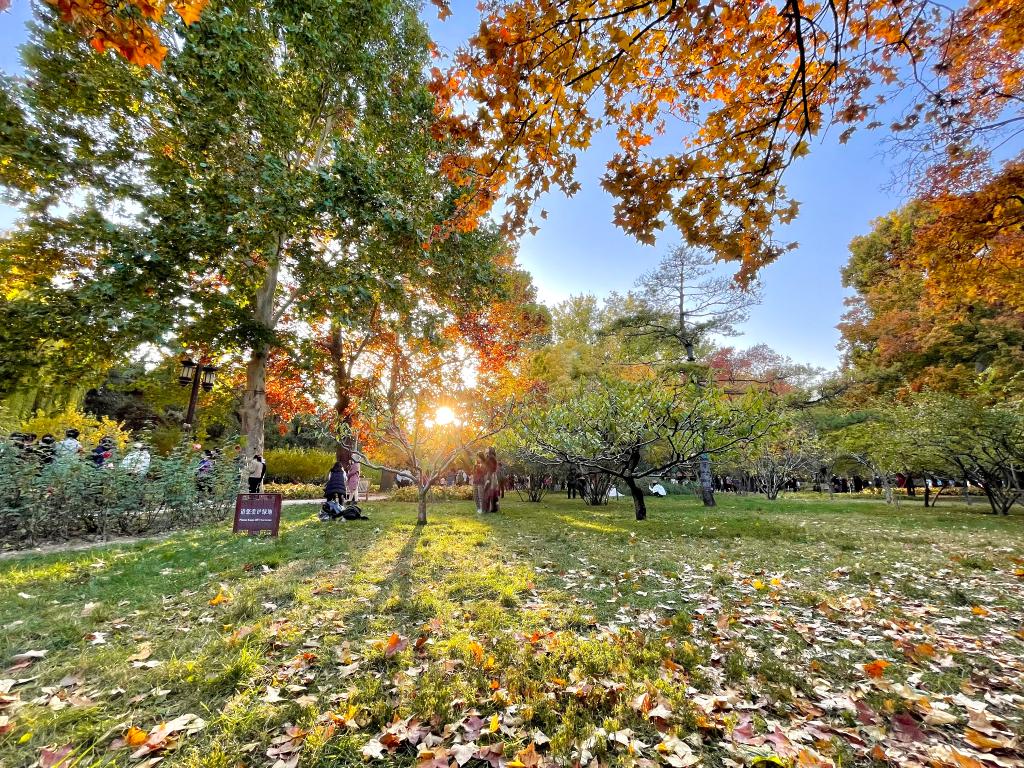京城从天而降的浪漫,等你去“打卡”! 京城从天而降的浪漫,等你去“打卡”!