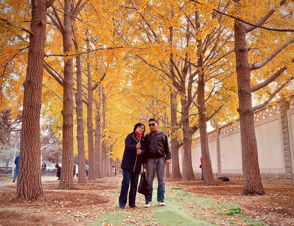 京城从天而降的浪漫,等你去“打卡”! 京城从天而降的浪漫,等你去“打卡”!