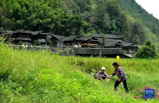 Kampung Purba Etnik Tujia di Kawasan Pergunungan_fororder_1127850133_16312819230401n