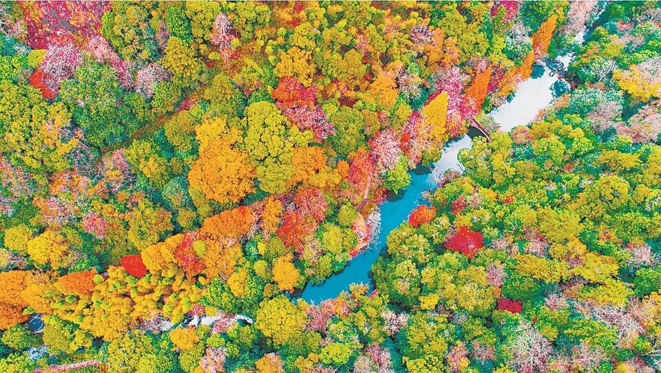 将乐龙栖山国家级自然保护区:冬日大地水彩画_fororder_2a4eec83-5415-4f0b-8480-806f6354a65d