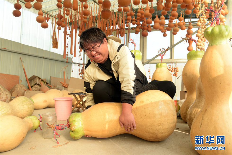 山东聊城:小葫芦催生特色产业亿元村共同富裕路