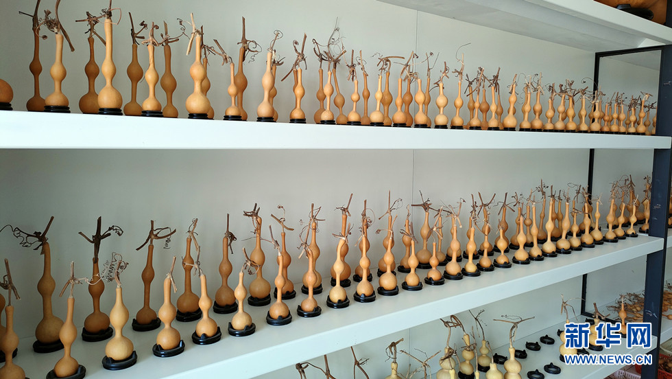 山东聊城:小葫芦催生特色产业亿元村共同富裕路