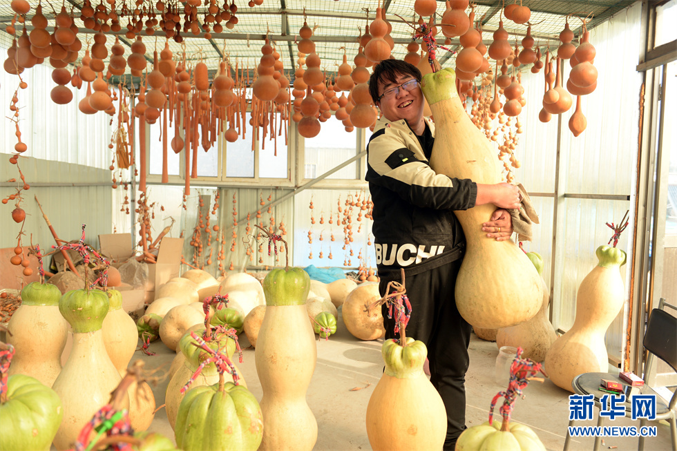山东聊城:小葫芦催生特色产业亿元村共同富裕路
