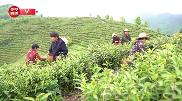 图片默认标题_fororder_111