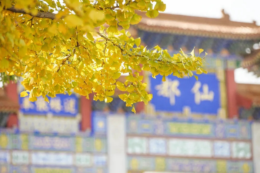 Découvrez les plus beaux paysages d'automne du Shaanxi_fororder_8_副本