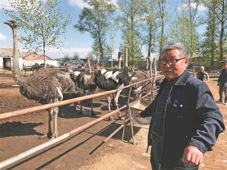 夯实防治工作 护佑百姓健康