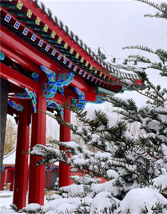 Enjoy Scene in Shenyang After Its First Snow!_fororder_图片4