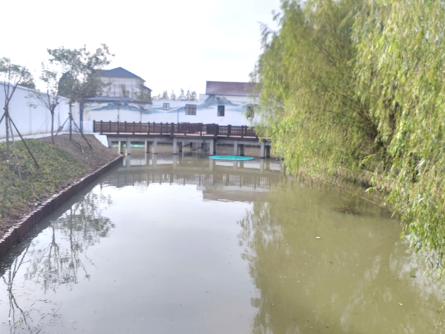 赋新能 创新篇|海盐县沈荡镇党代表开门履职交“答卷” 赋新能 创新篇|海盐县沈荡镇党代表开门履职交“答卷”