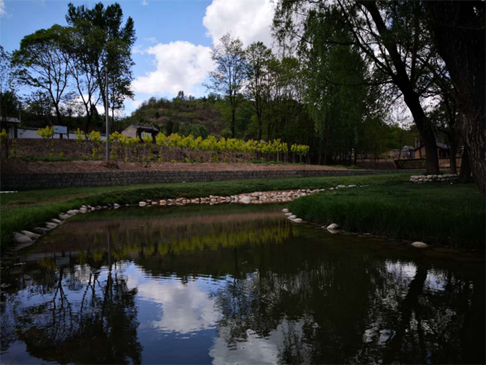 延安市洛川县黄连河村：绘就乡村振兴“桃花源”