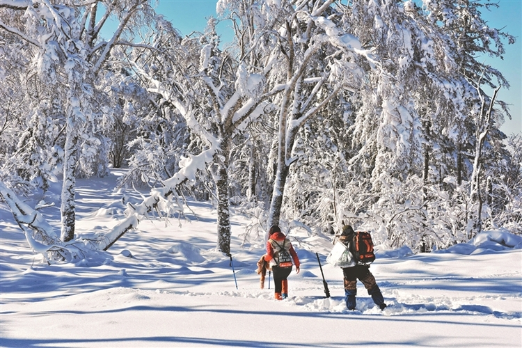 冰天雪地“醉”游人