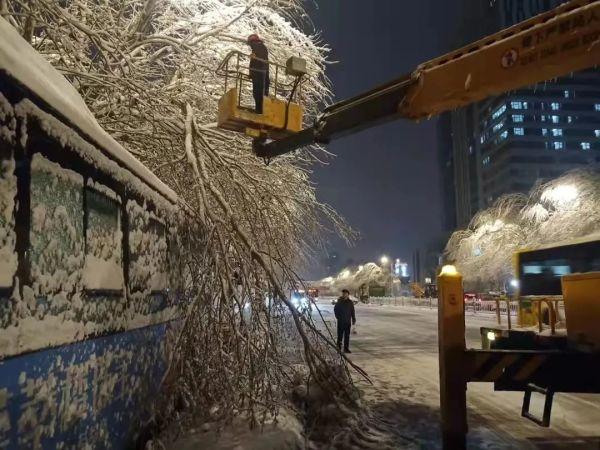 六问哈尔滨“冰树”