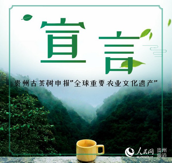 （社会）贵州古茶树正式申报“全球重要农业文化遗产”
