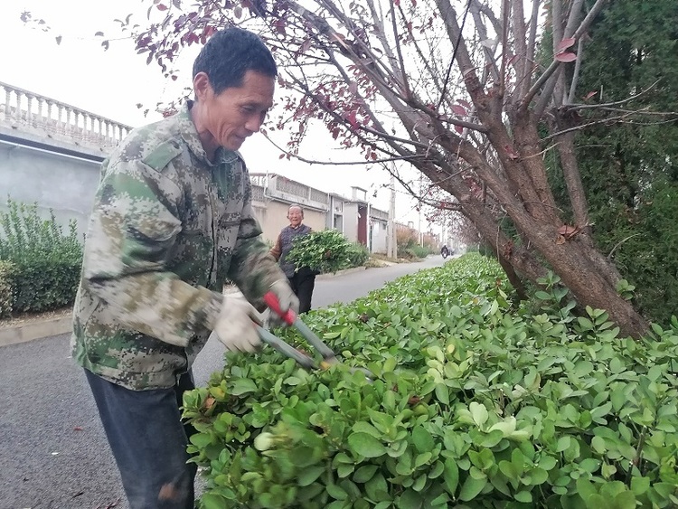 济南市莱芜区牛泉镇向阳村: 强化环境美化、绿化措施 改善农村环境_fororder_61308bef89c95377592c2d4c56a1f63