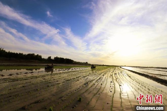 图片默认标题_fororder_322