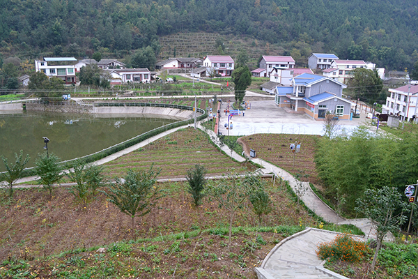 广元苍溪激活乡村振兴密码构筑乡村新画卷