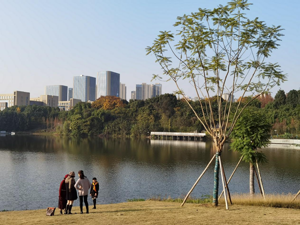 【原创】重庆两江新区已共建成公园131个 即将启动新建公园近70个_fororder_图片2