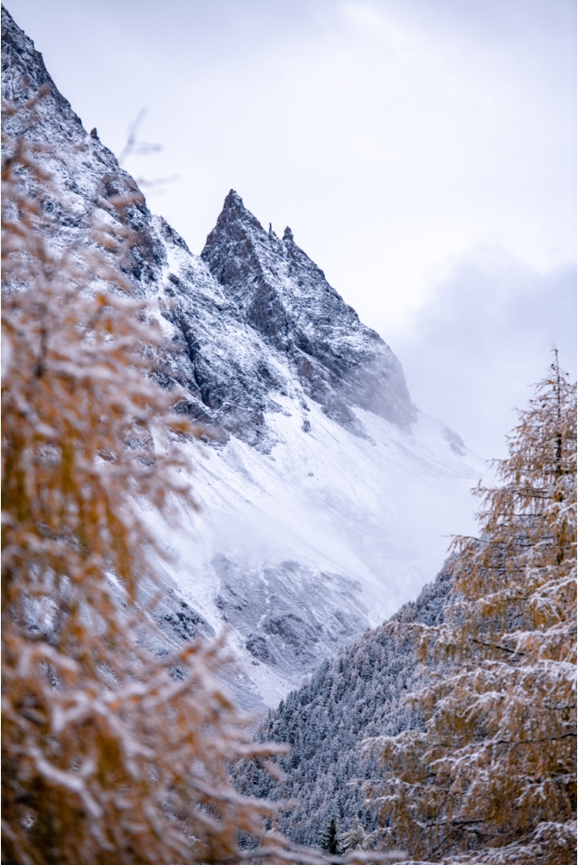 云游四川 半山彩林半山雪丨四姑娘山换上"混搭"彩色新衣