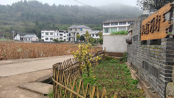 南充西充县跳蹬河村:党建引领壮大村集体经济 助推乡村振兴_fororder_跳蹬河村---摄影-张景轩