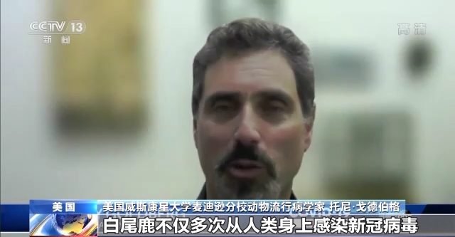 美研究人员:新冠病毒在白尾鹿间爆炸式传播