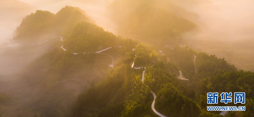 湖北来凤：山村冬晨云海苍茫