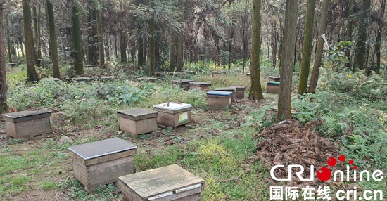 (原创)“黔系列”品牌采风行:贵州特色食品产业发展势头强劲 助力“黔货出山”_fororder_蜂蜜1