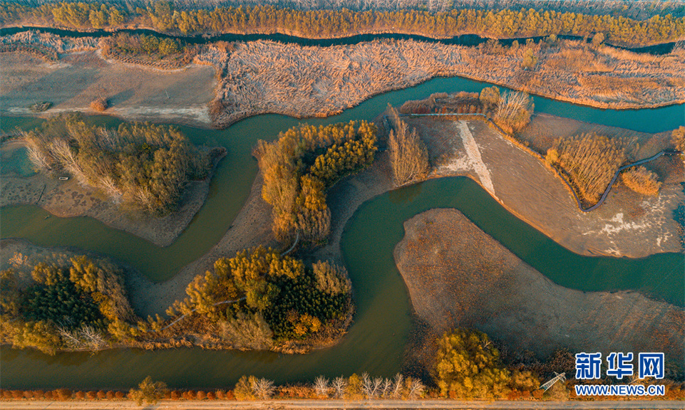 航拍冬日台儿庄运河湿地的"几何构图"
