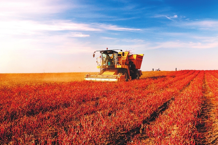 吉林：多种机械耕种方式遍地开花 农业机械化水平快速提升