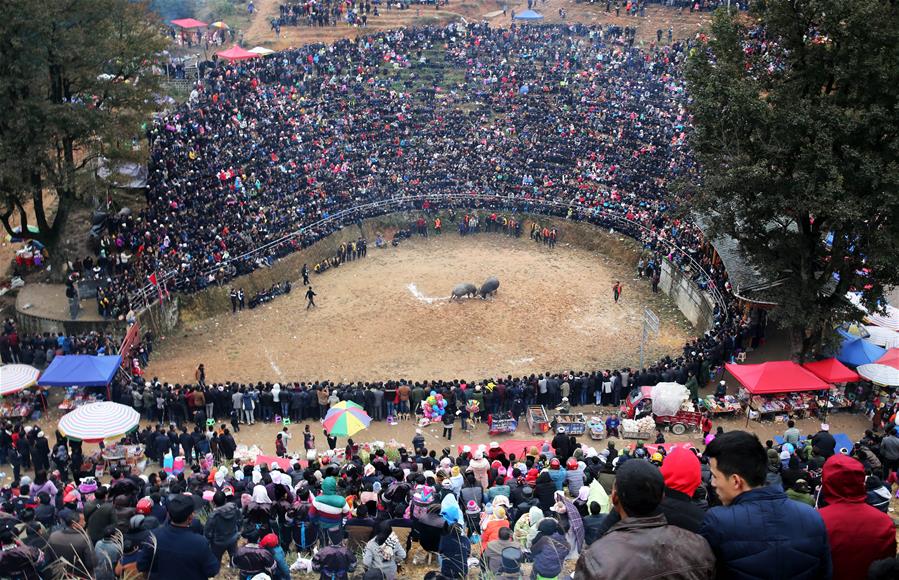 来自榕江、从江、黎平等地的群众汇聚一堂观看斗牛，庆祝丰收