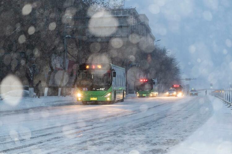 战风斗雪护平安——黑龙江迎战暴风雪极端天气纪实