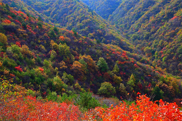 延安市延长县:“三个圆满收官”彰显县域发展成就 将推动经济转型升级取得更大突破_fororder_图片6