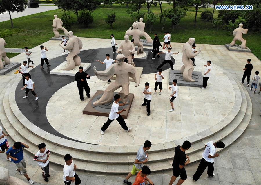 Pic story: Young learners practise Taiji in central China's Henan Province