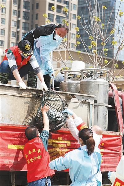 图片默认标题_fororder_这位来自湖北的全国人大代表为何深深鞠了一躬？4