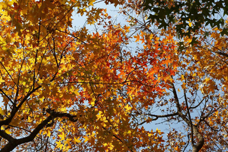 11月21日 火曜日 11月21日 火曜日