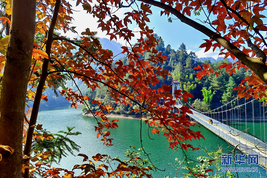 【城市远洋】重庆：层林尽染小南海 湖光山色冬韵浓