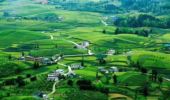 （供稿）首批贵州省“绿水青山就是金山银山”实践创新基地命名_fororder_湄潭