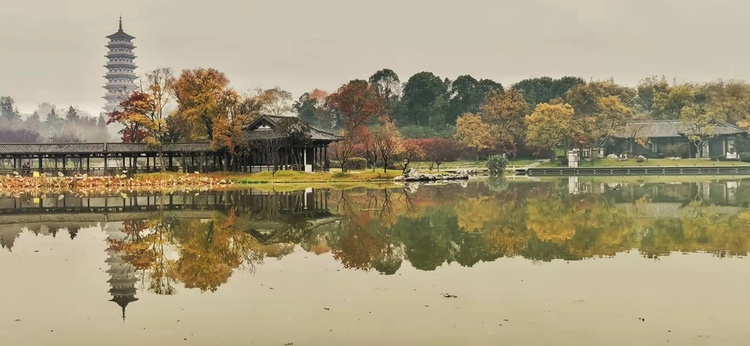 扬州：山明水净夜来霜 数树深红出浅黄