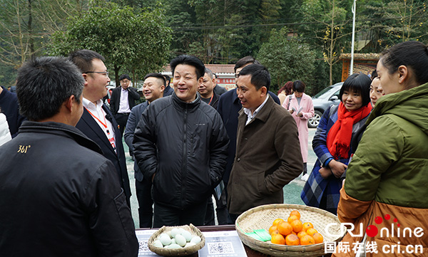 图片默认标题_fororder_陶俊培在安州区齐心材参观“互联网十旅游”示范点（摄影杨明）