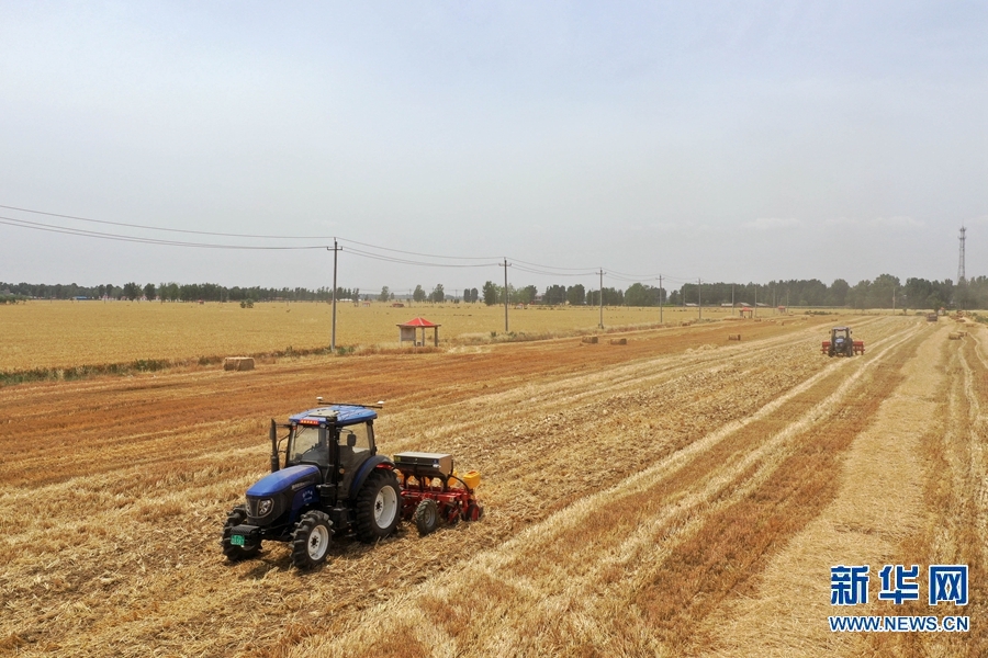 【焦点图-大图】【移动端-轮播图】河南邓州：农机服务组织挑起农业现代化的“金扁担”