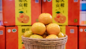 陕粤特色农产品亮相广东